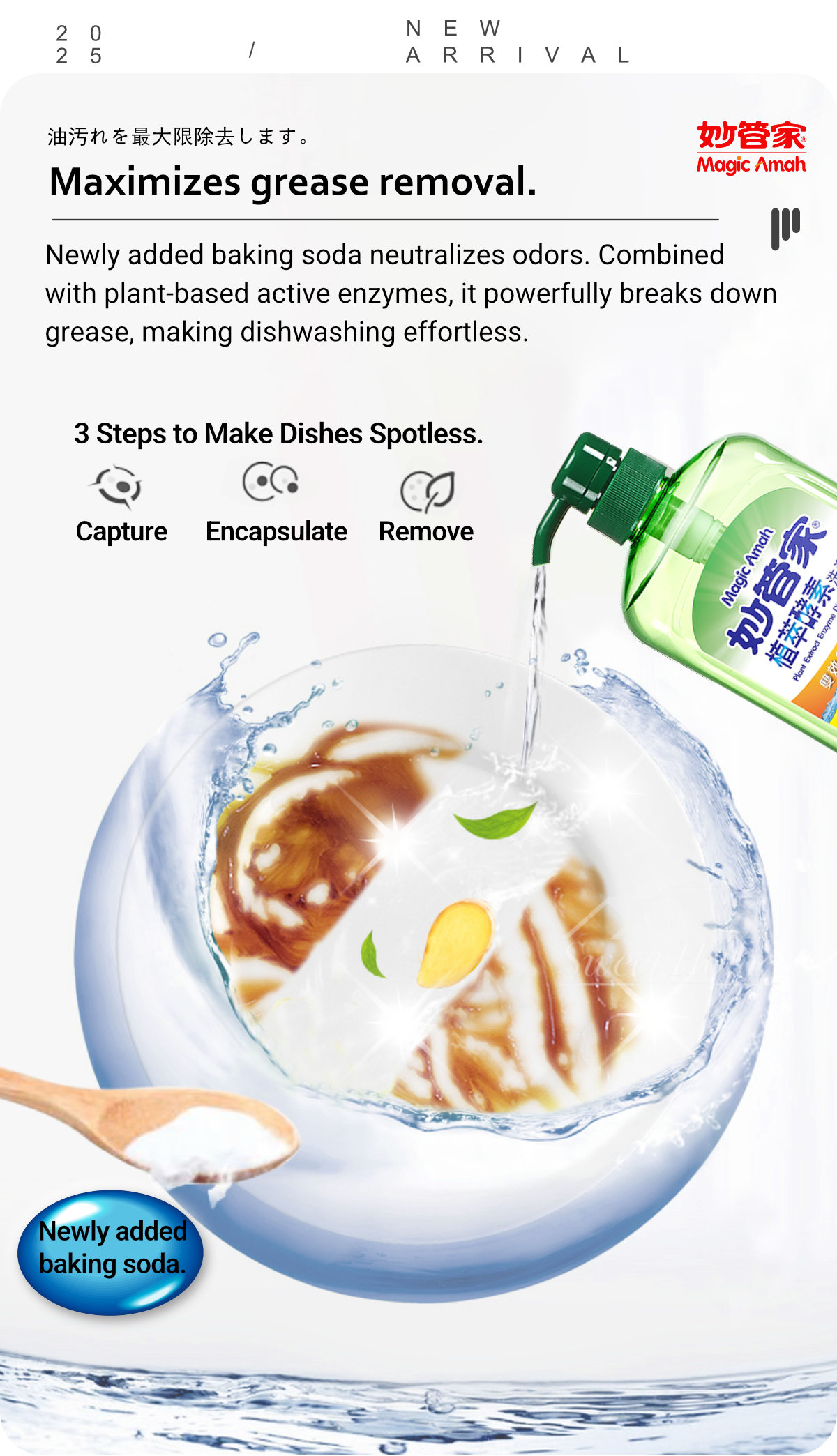 31259-Plant Extract Enzyme Dishwashing-4